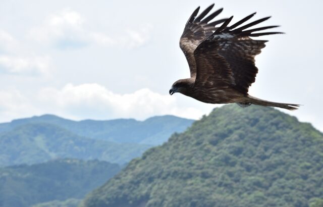 頂きに置かれた小さな卵