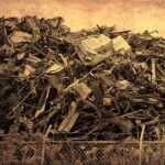 腐ってもミカンは　ミカン　リンゴじゃないだろ