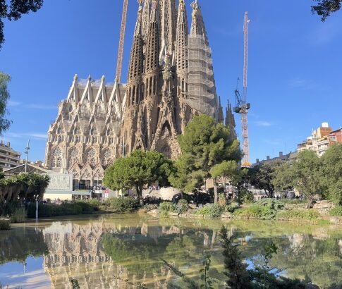 理由がない理由